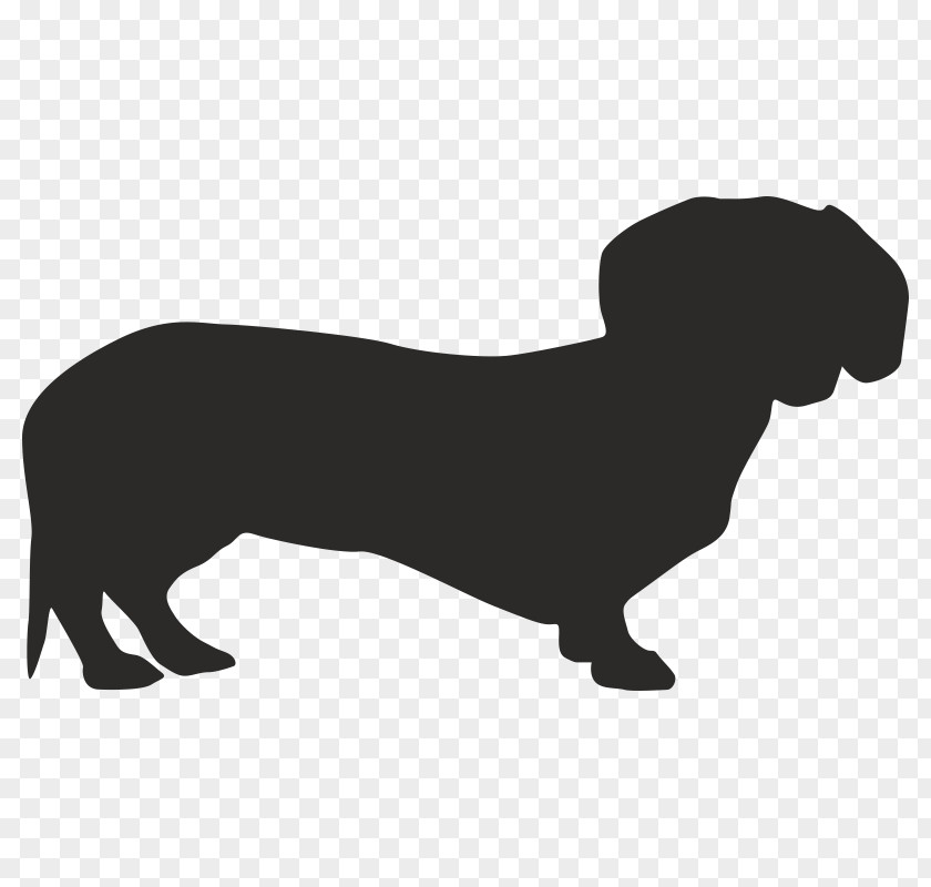 Dachshund Dog Breed Dobermann Pet Florida PNG