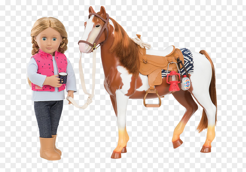 Doll Pony Appaloosa Morgan Horse Thoroughbred Lusitano PNG