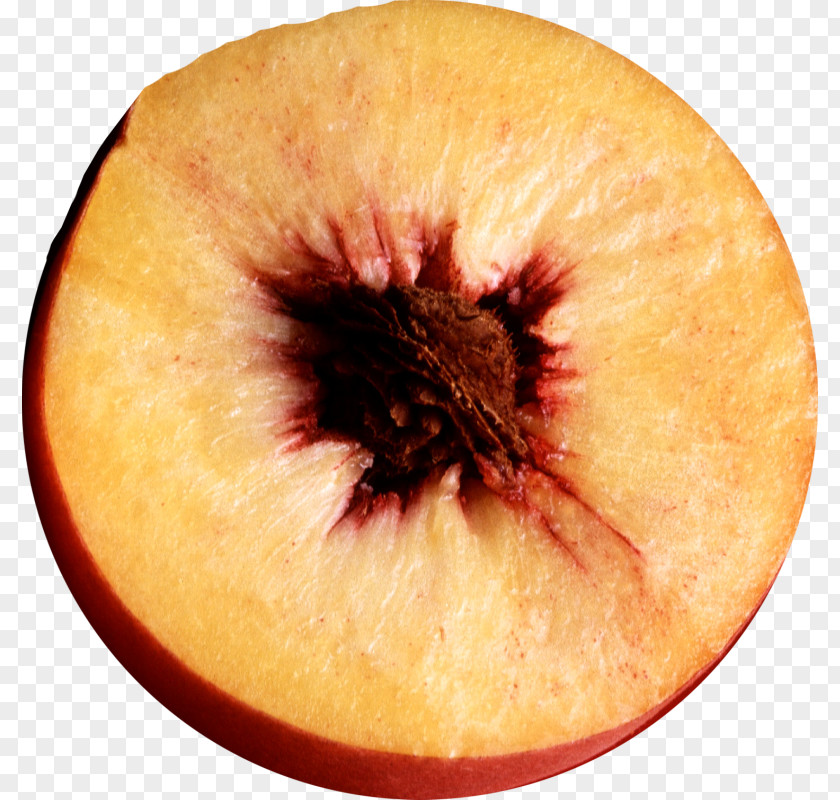 Juice Schnapps Fruit Desktop Wallpaper PNG