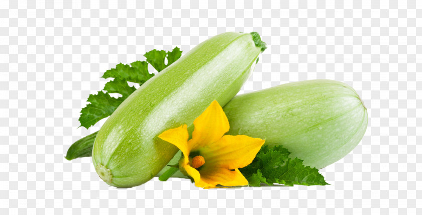 Melon Zucchini Vegetable Marrow Recipe Dish PNG