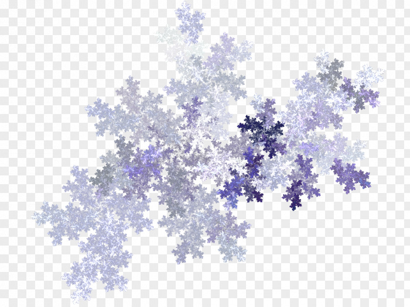 Snowflakes Snowflake Light Apophysis Pattern PNG