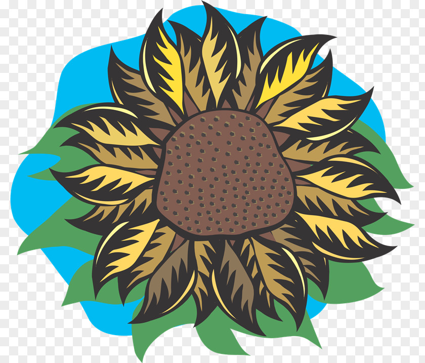 37 Clip Art Illustration Flower Vector Graphics Drawing PNG