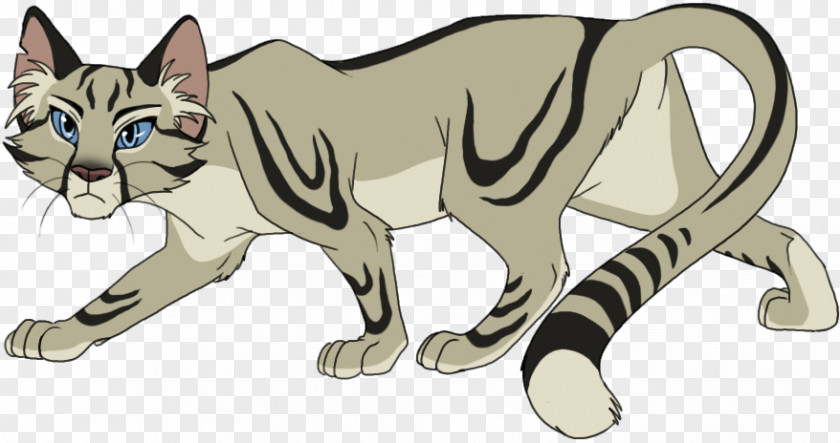 Cat Warriors Drawing Long Tail PNG