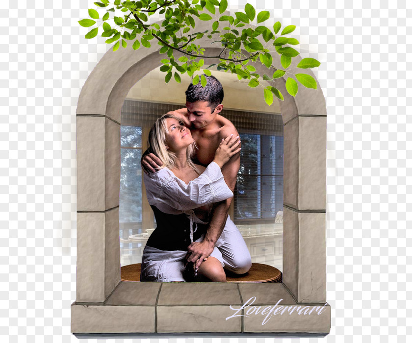 Mon Amour Window Furniture Romance Jehovah's Witnesses PNG