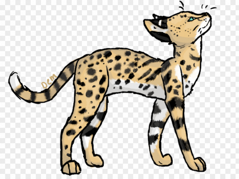 Running Wild Cat Coloring Pages Whiskers Cheetah Leopard Wildcat PNG