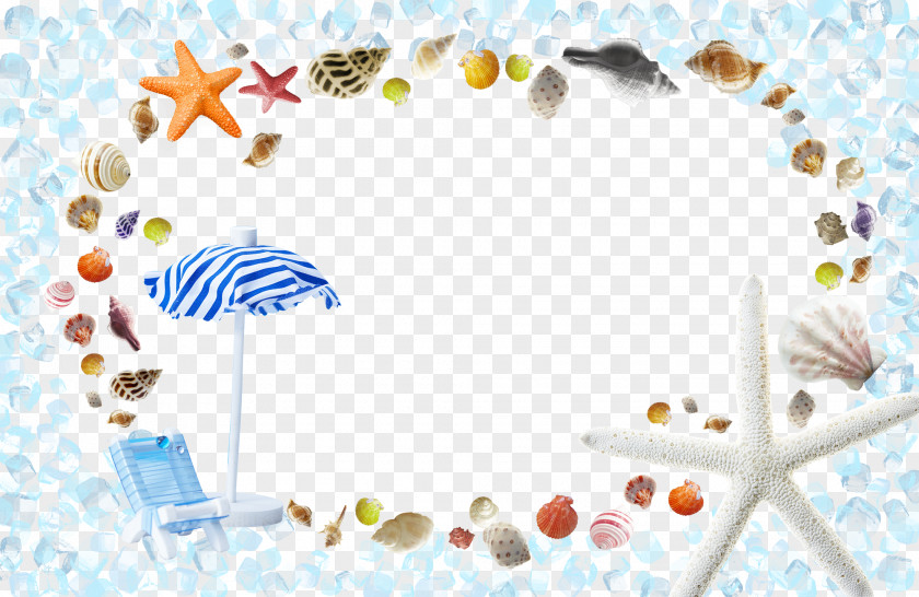 Shell Decorative Background Template Summer Poster PNG