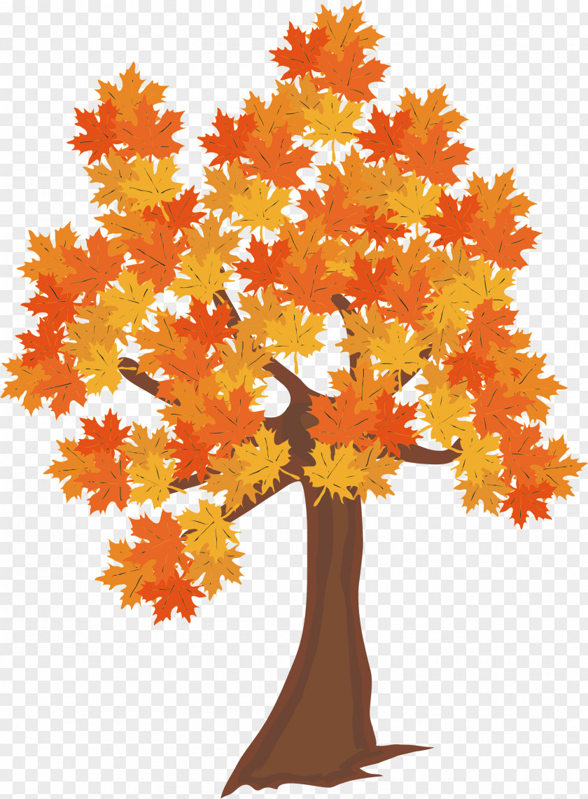 Walnut Graphic Design Autumn Season Tree PNG