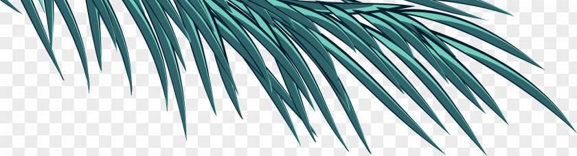 Branch Arecaceae Blue Turquoise Green Teal PNG