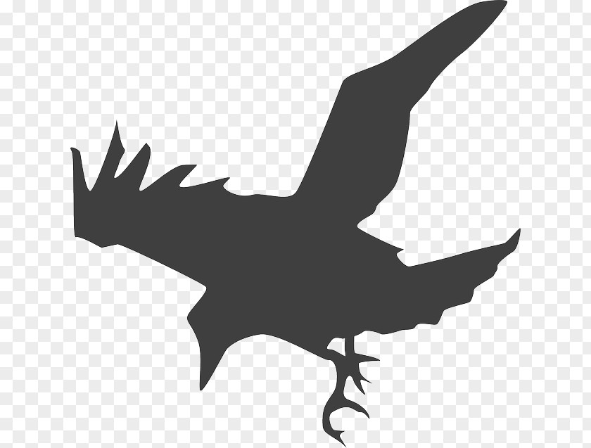 Crow Common Raven Clip Art PNG