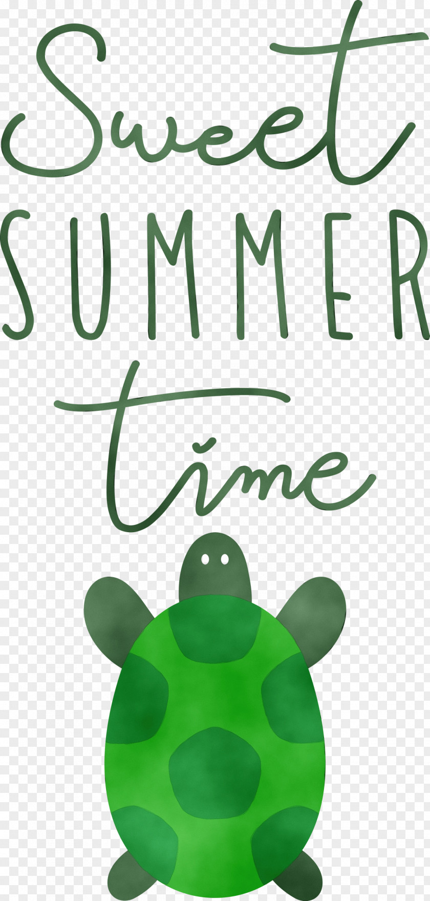 Amphibians Frogs Meter Font Tree PNG