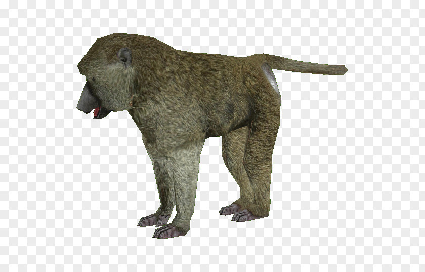 Baboon Clipart Zoo Tycoon 2 Macaque Olive Primate PNG