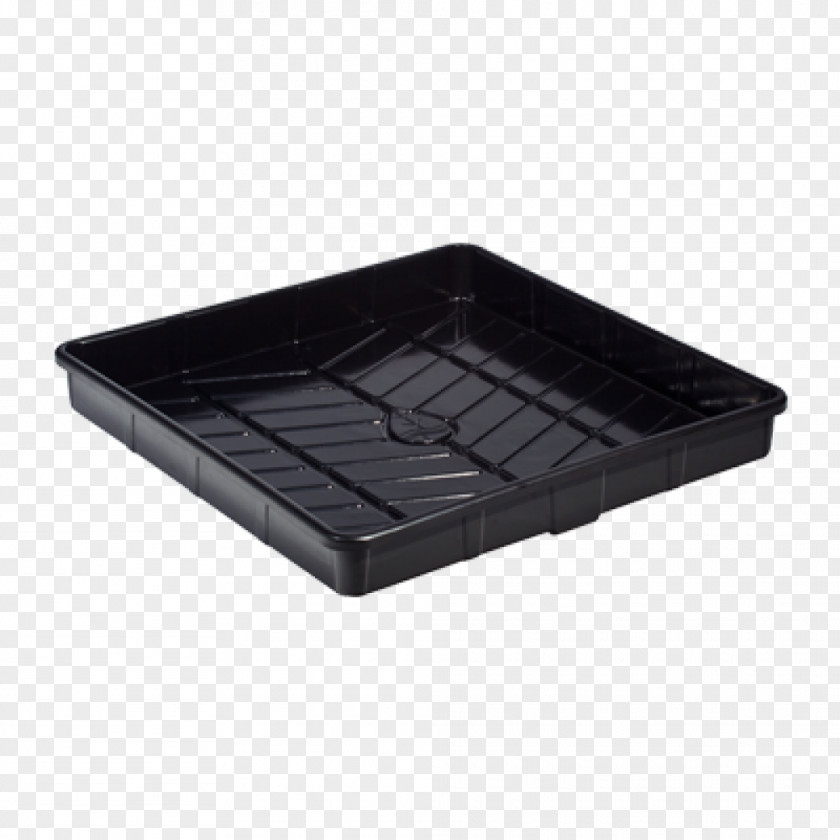 Caterpillar Fungus Table Tray Gardening Hydroponics PNG
