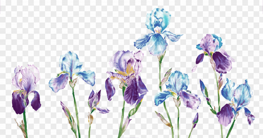 Creative Wallpapers Orchid Water Watercolor Painting Download PNG