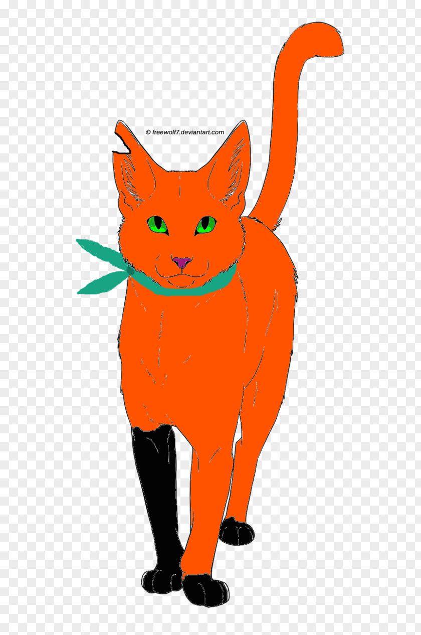 Doctor Who Cat Mammal Carnivora Whiskers PNG
