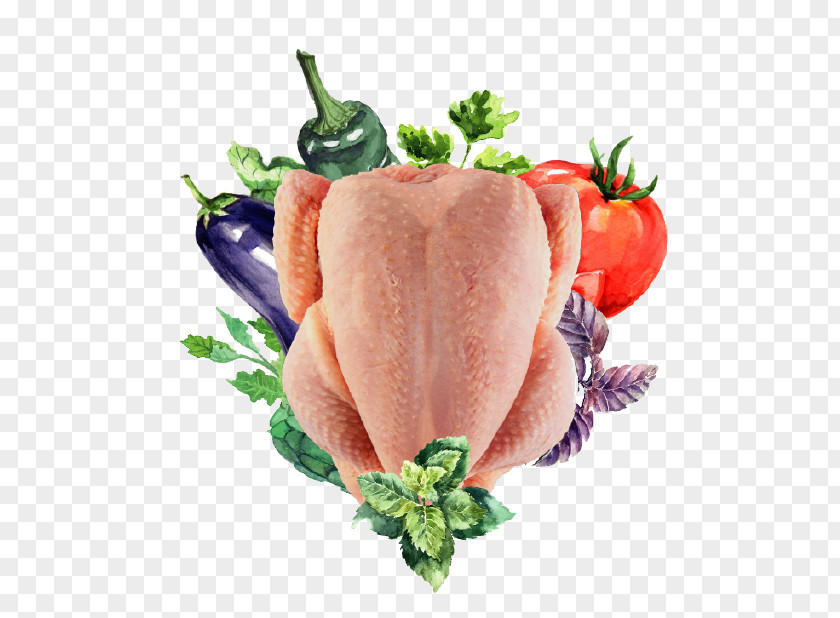 Exercise The Most Stringent Food Safety Laws Recipe Chicken As Dish Vegetable PNG