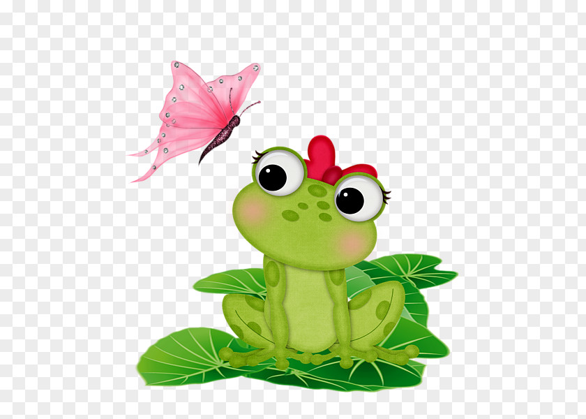 Insect Tree Frog True PNG