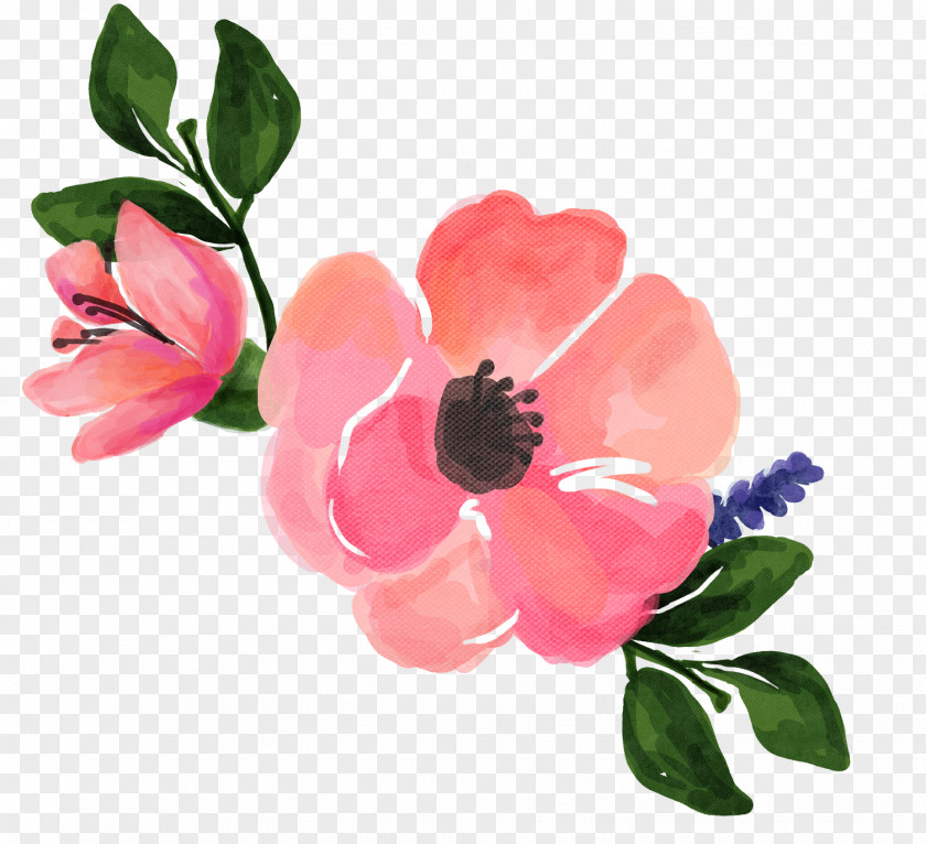 Pink Watercolor Flower Painting Clip Art Watercolour Flowers PNG