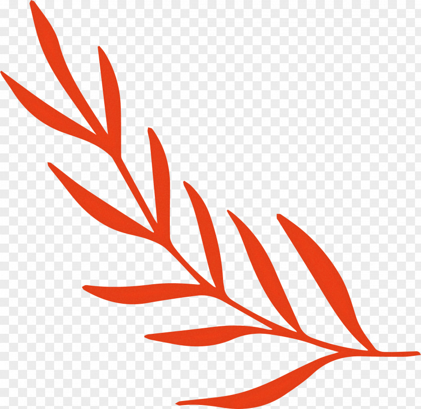 Simple Leaf Drawing Outline PNG