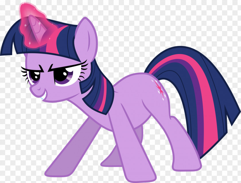 Twilight Sparkle Rainbow Dash My Little Pony Princess Cadance PNG