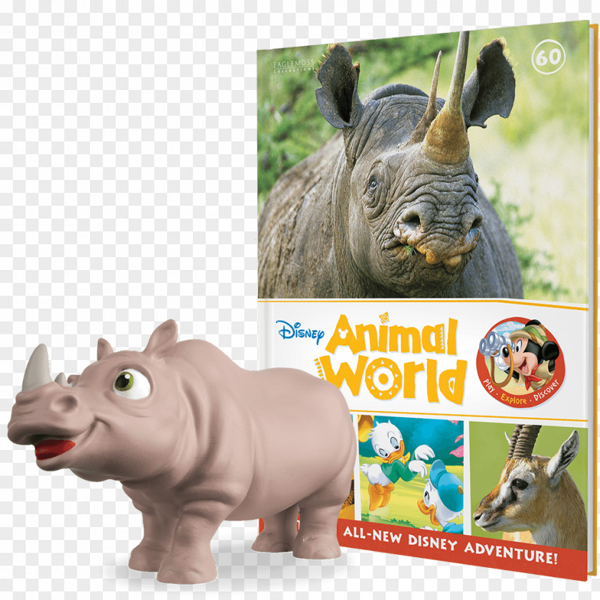 Wildlife Rhinoceros Fauna Snout Animal PNG