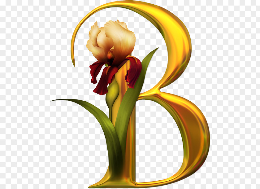 Beatiful Floral Design Alphabet Letter PNG