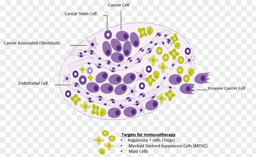 Biopharmaceutical Basal-cell Carcinoma Squamous Cell Skin Cancer Mohs Surgery PNG