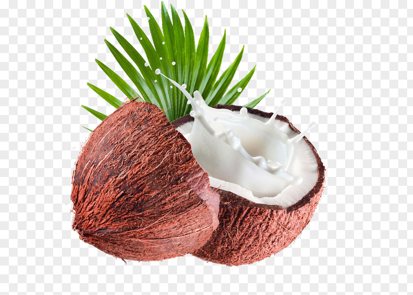Free Coconut To Pull Material Milk Biscuit Roll Oil Cooking PNG