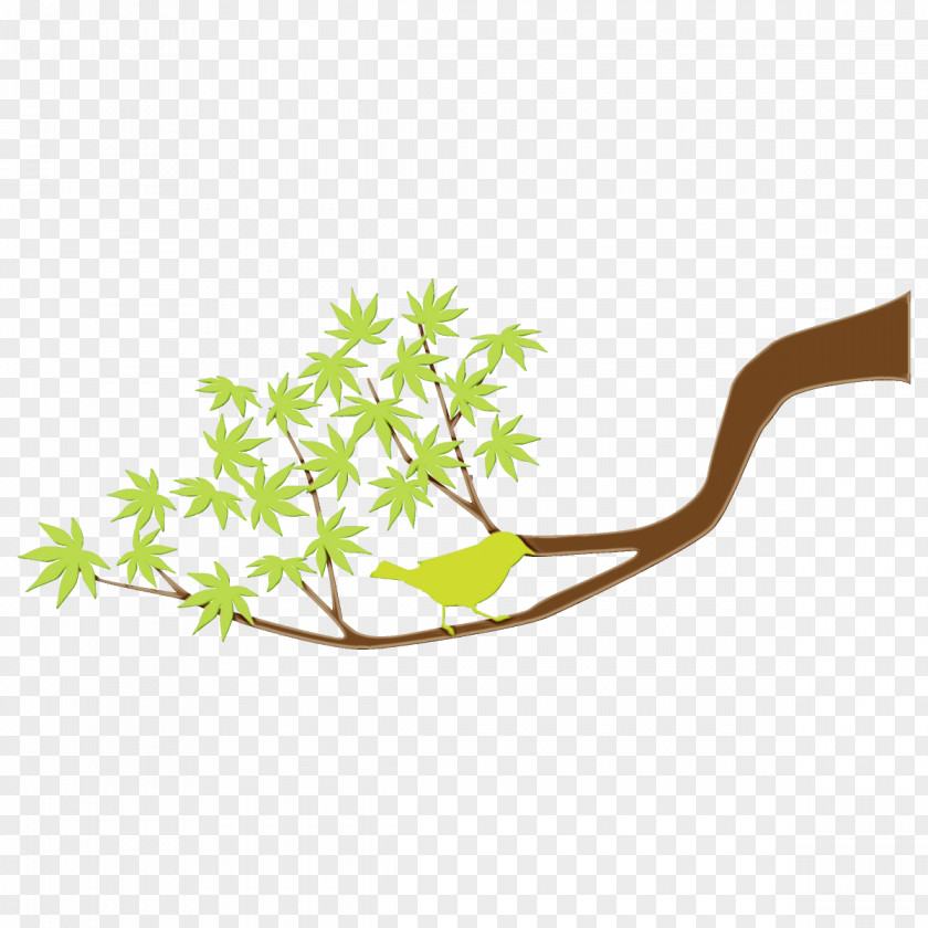Perennial Plant Flower Leaf Branch Tree PNG