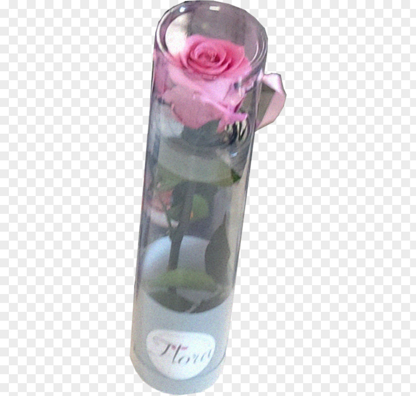 Roza Kwiat Archiwum Allegro Cut Flowers Rose Róża Mini Wiecznie żywy 2 Lata Trwałości PNG