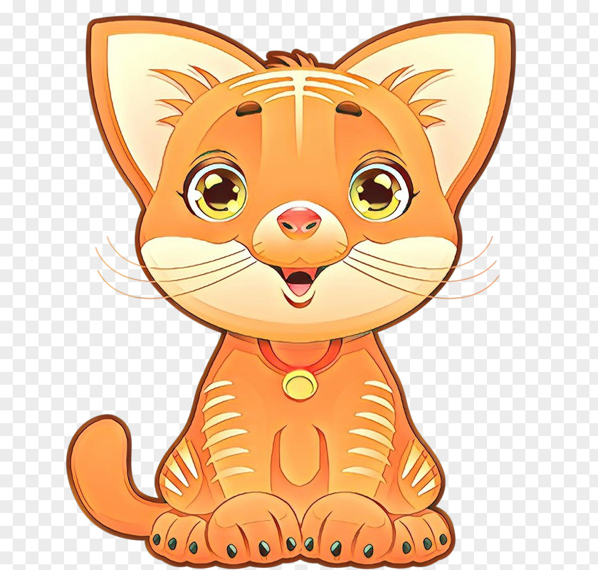 Snout Small To Mediumsized Cats Orange PNG