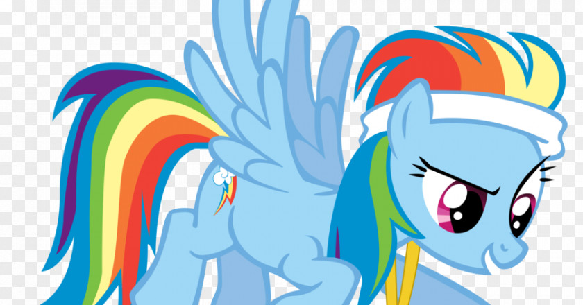 Summer Rainbow Pony Dash Pinkie Pie Twilight Sparkle Rarity PNG