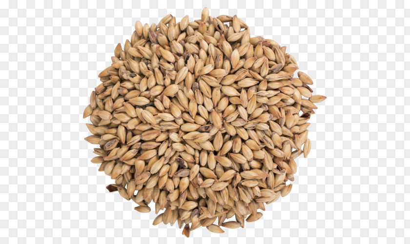 Beer Oat Bird Food Finch PNG