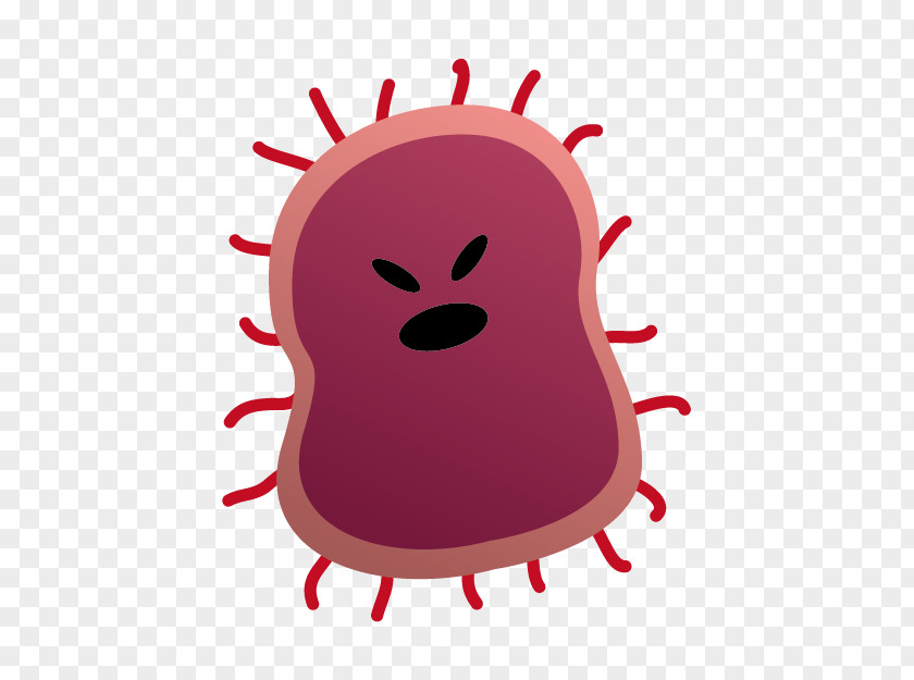 Clip Art Bacteria Image Virus PNG