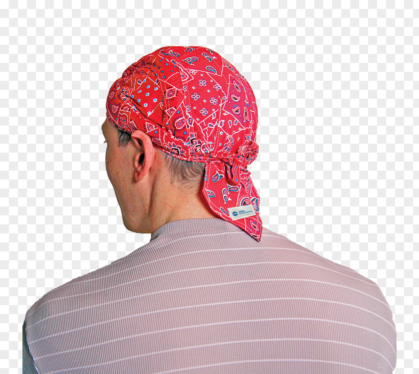 Dog Kerchief Clothing Online Shopping Beslist.nl PNG