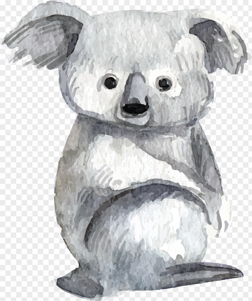 Grey Koala Baby Koalas Lemur Bear Watercolor Painting PNG
