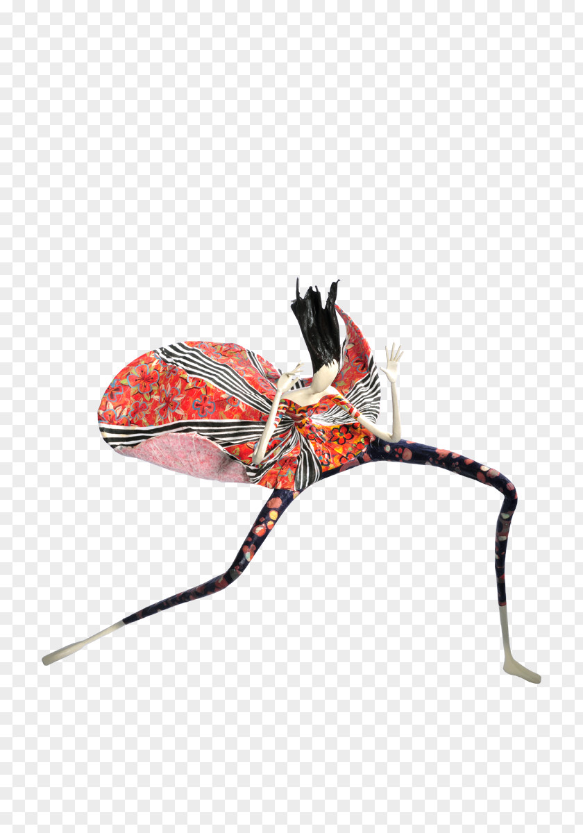 Insect Clothing Accessories Fashion Accessoire PNG