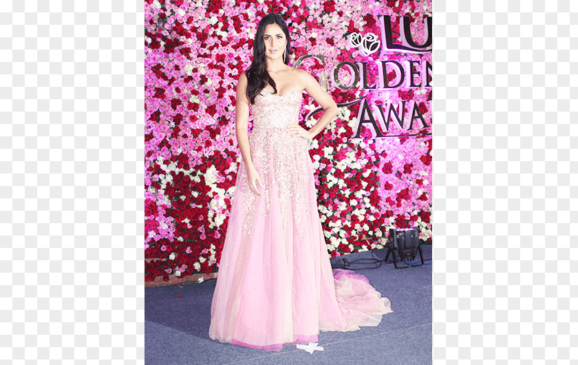 Katrina Kaif Actor Bollywood Celebrity Award PNG