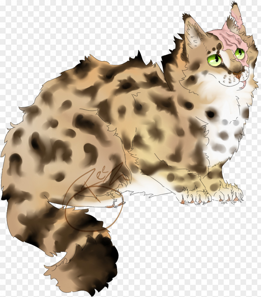 Leopard Whiskers Bengal Cat Cheetah Snout PNG