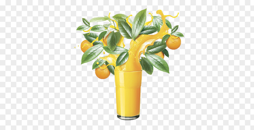 Orange Juice Fruchtsaft PNG