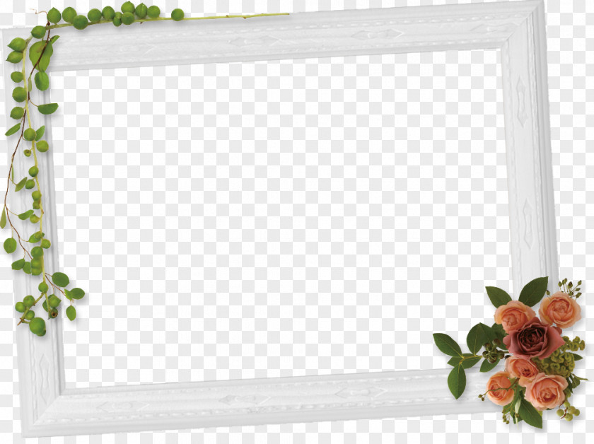 Window Picture Frames Cut Flowers Rectangle PNG