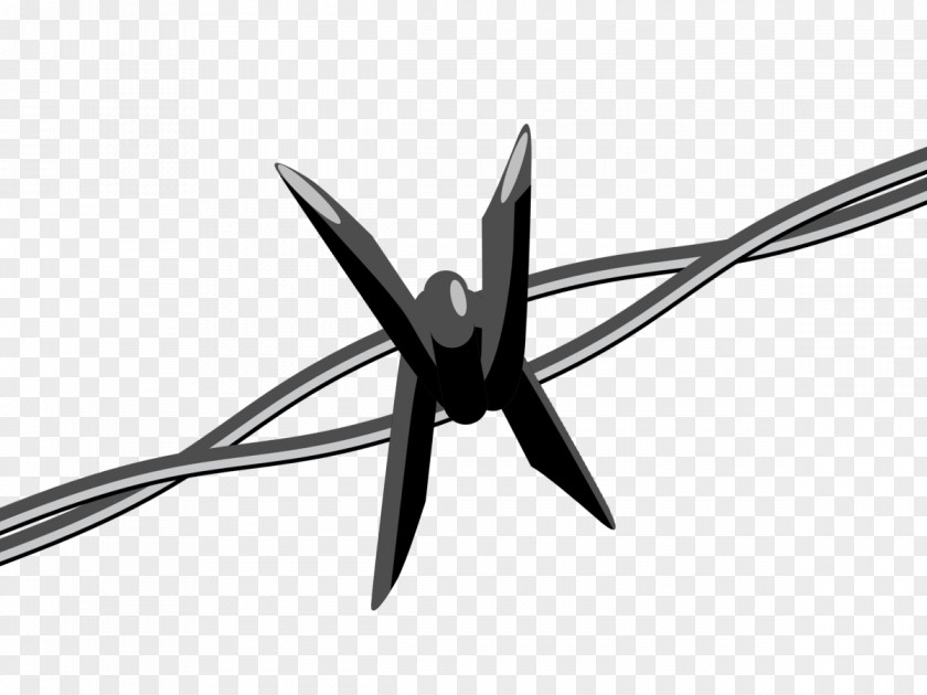 Barbwire Barbed Wire Icon PNG