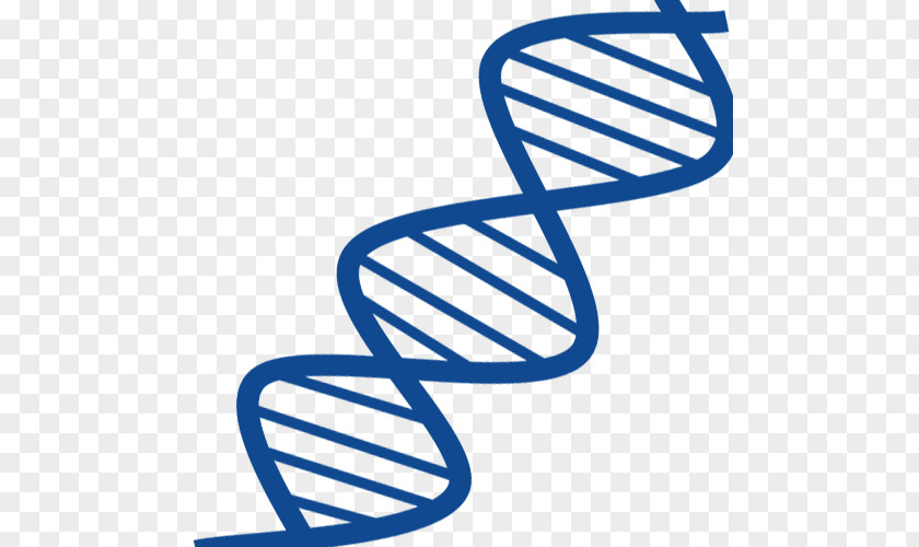 Blue Gene Chain DNA Nucleic Acid Double Helix RNA Structure PNG