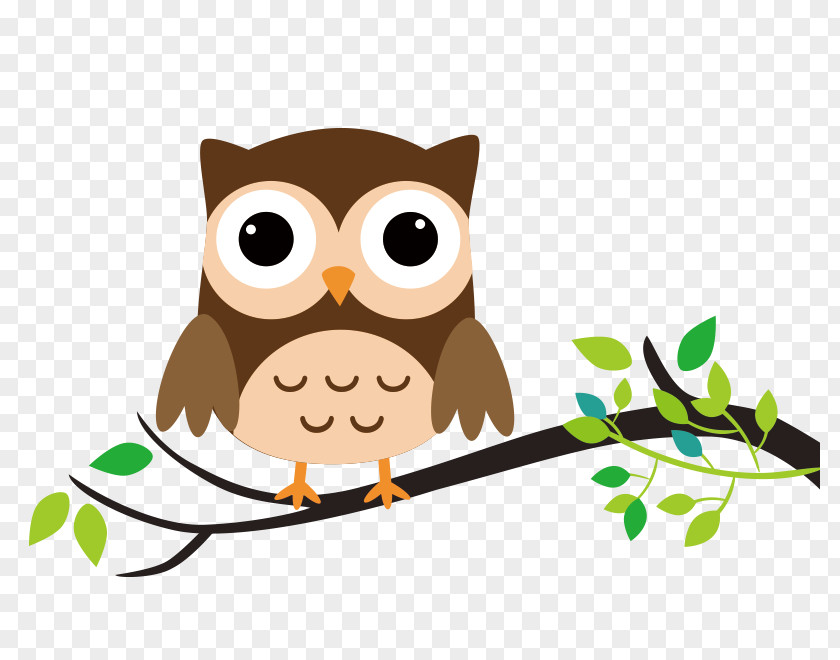 Owl Drawing Cartoon Clip Art PNG