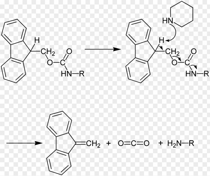 Peptide Fluorenylmethyloxycarbonyl Chloride Protecting Group Synthesis Piperidine Amine PNG