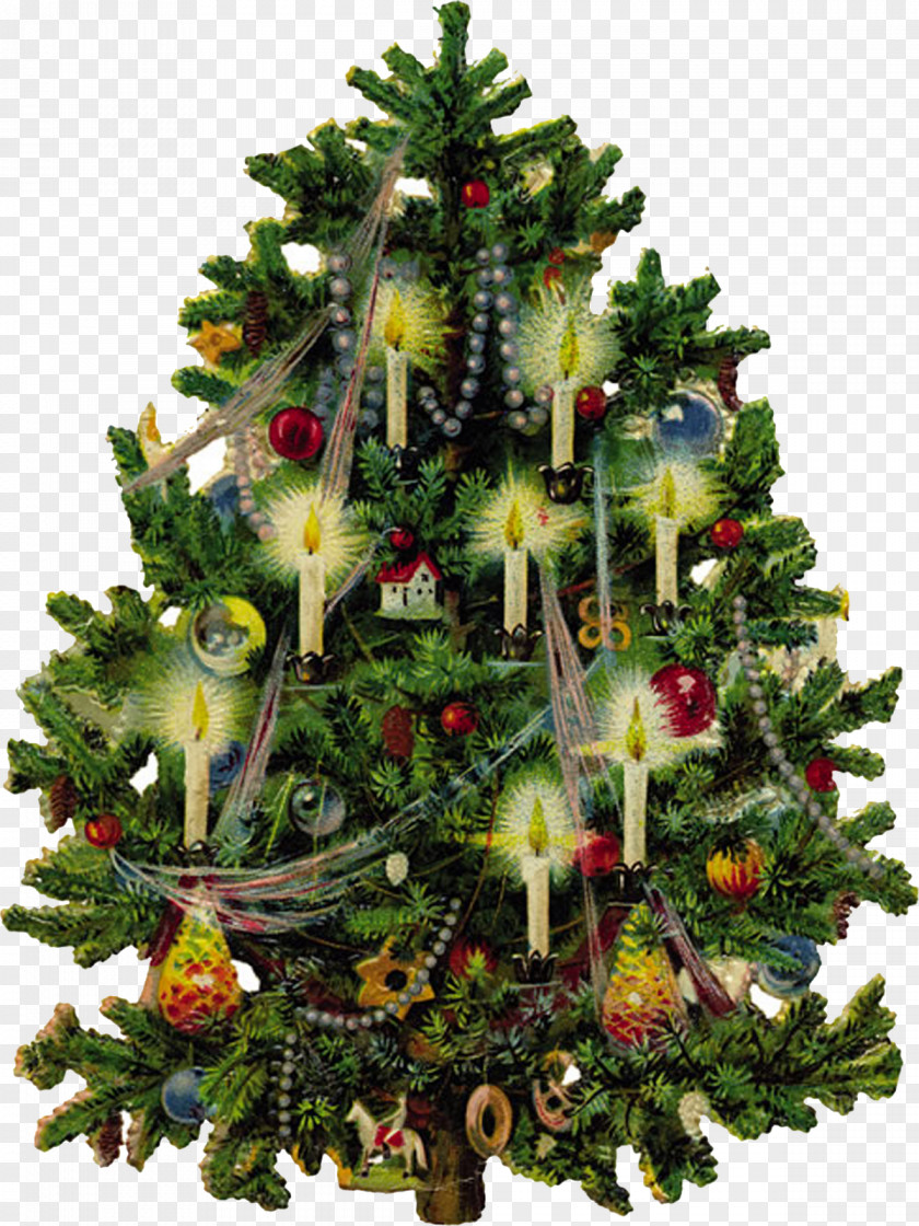 Treescard Victorian Era Christmas Tree Santa Claus Clip Art PNG