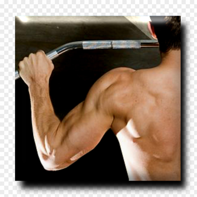 Arm Muscle Human Back Latissimus Dorsi Contraction Wrist PNG