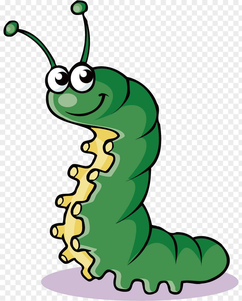 Caterpillar Insect Clip Art PNG