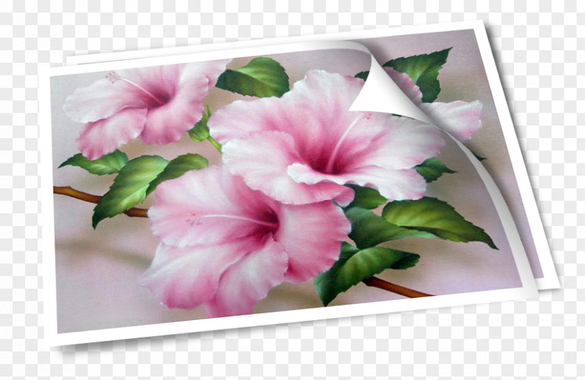 Glob Flower Floral Design Oil Painting Art PNG