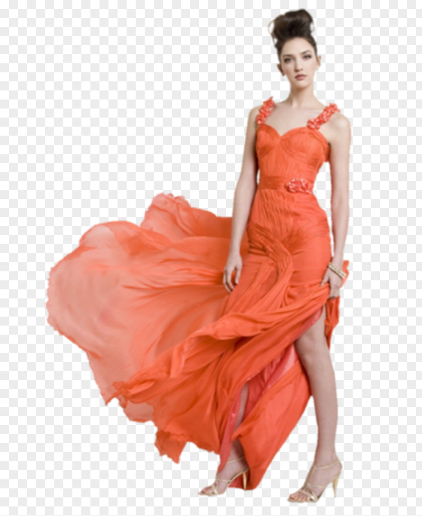 Woman Female Cocktail Dress PNG