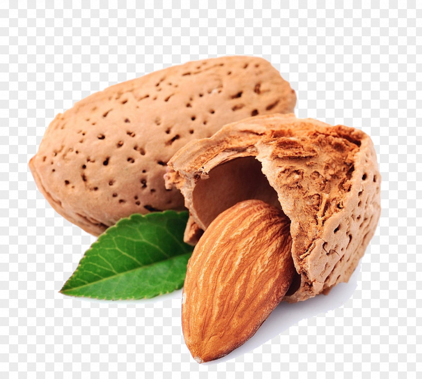 Almond Apricot Kernel Peanut Food PNG